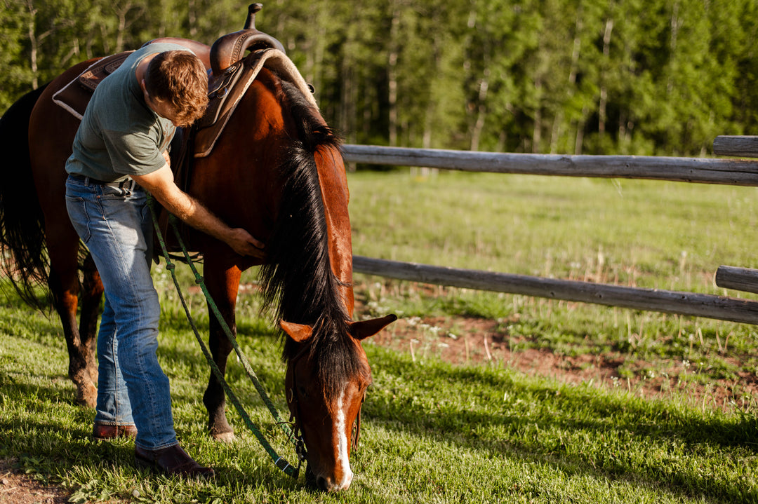 Veterans Finding Healing and Connection at 7 Stars Ranch