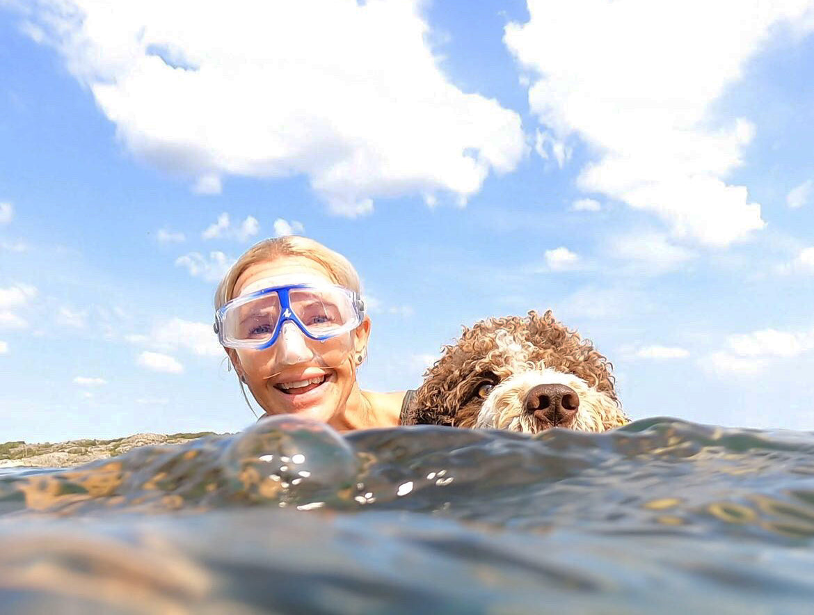 OllyDog: For Paws, People and the Planet