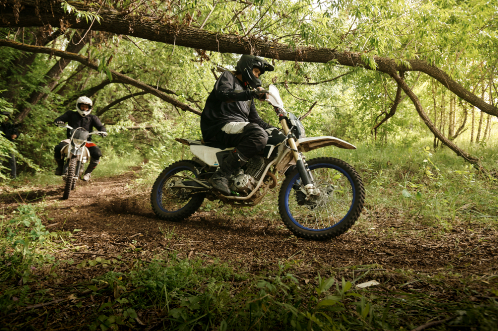 Beyond The Trails