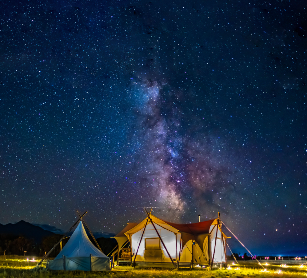 Under the Night Sky