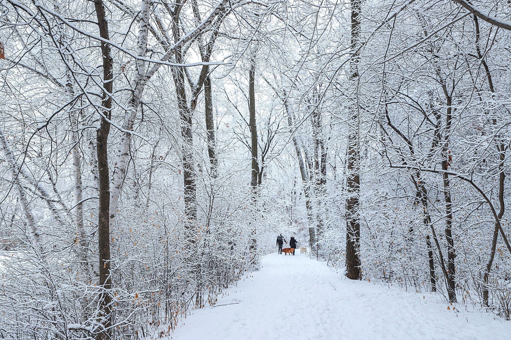 Twin Cities Gateway: Close to the Action, Far from the Noise