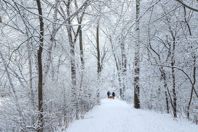 Twin Cities Gateway: Close to the Action, Far from the Noise