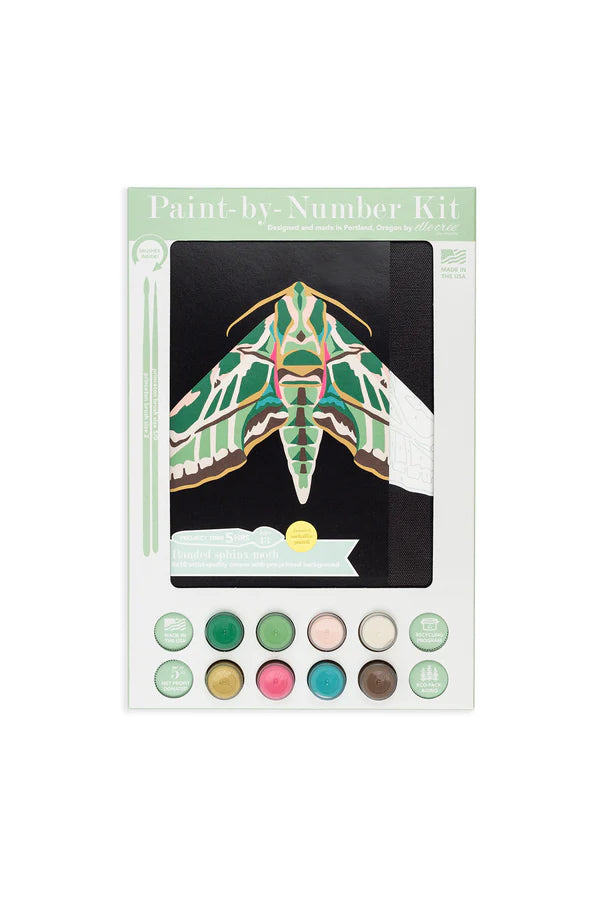 Banded Sphinx Moth Paint By Number
