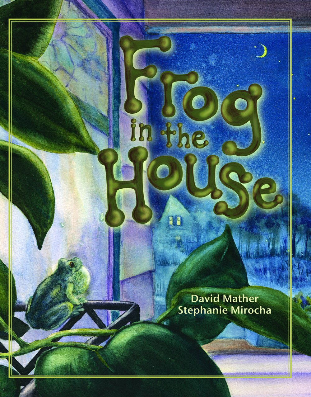 Frog in the House Book