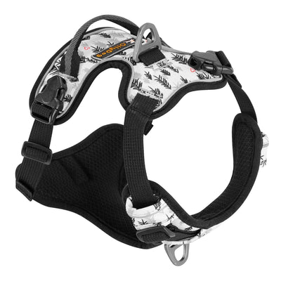 Alpine Reflective Harness