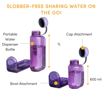 OllyBottle in Plum 600ml