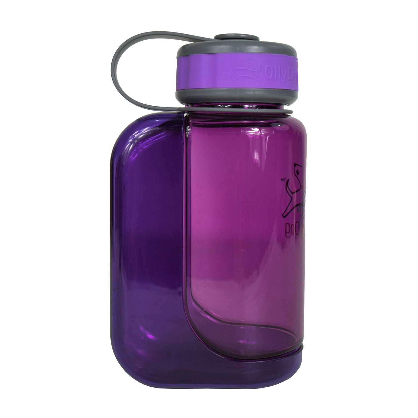 OllyBottle in Plum 600ml