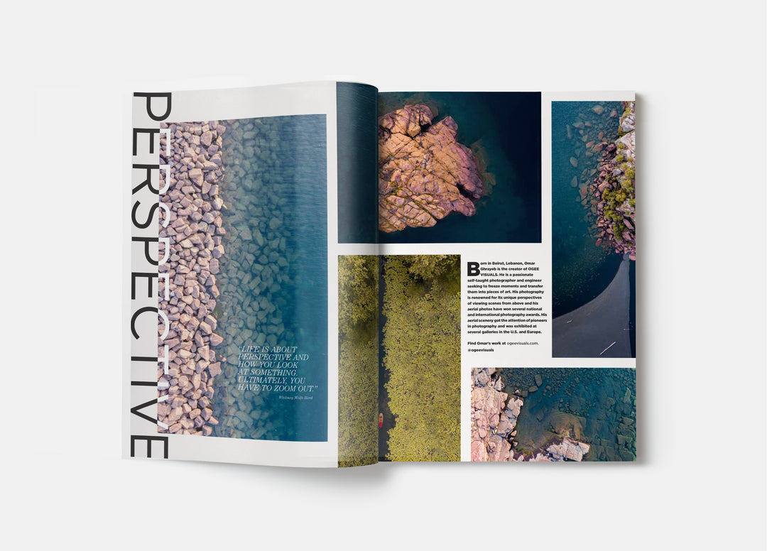 Lake and company national issue 2, Perspective