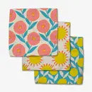 Geometry Dishcloth Sets