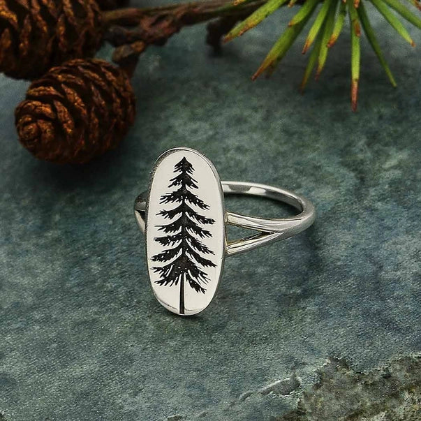 Pine Tree Ring