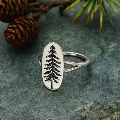 Pine Tree Ring