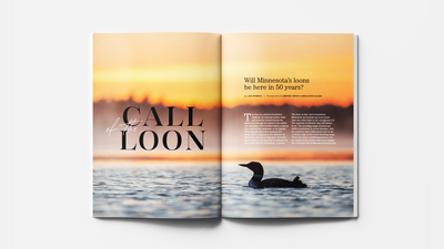 Lake and Company - Minnesota: Issue 20 - The Lake and Company